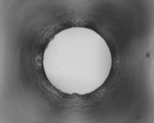 X0000115491010200912041010