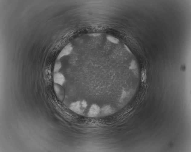 X0000115491011200912041010