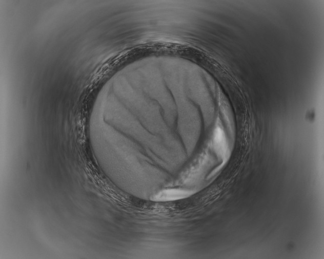 X0000115491013200912041010