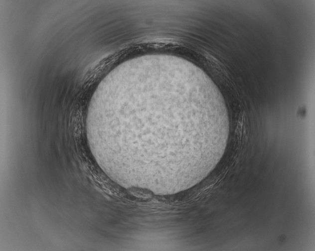 X0000115491014200912041011
