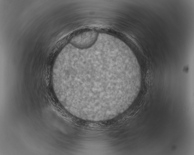 X0000115491015200912041011