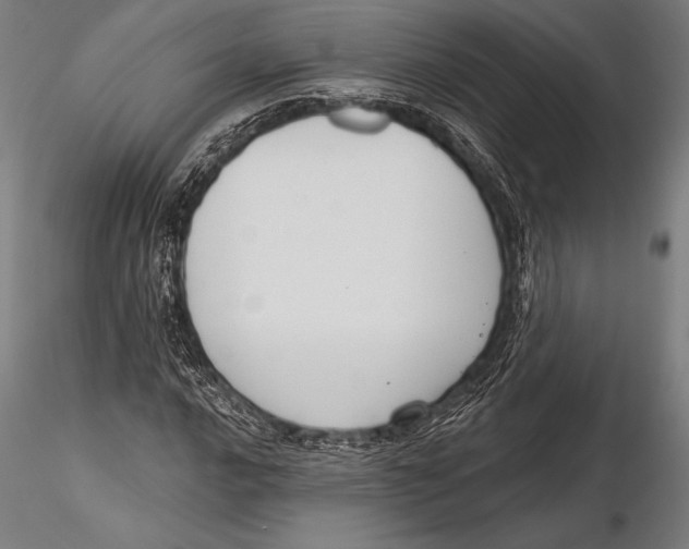 X0000115491016200912041011