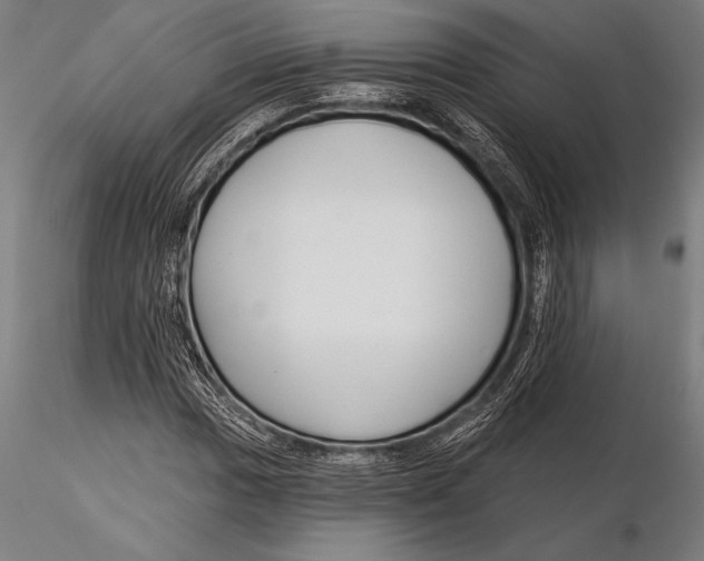 X0000115491017200912041011
