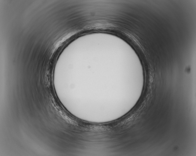 X0000115491018200912041011