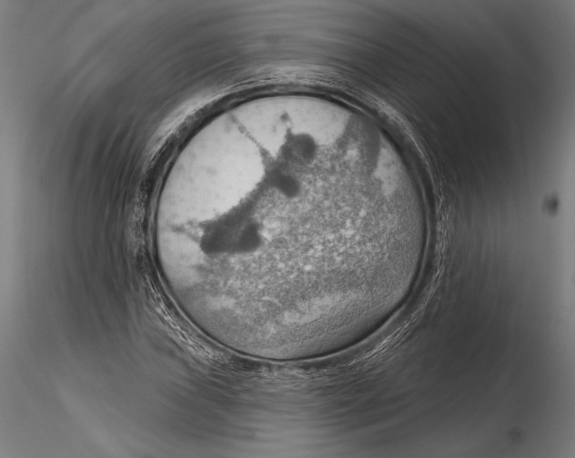 X0000115491019200912041011