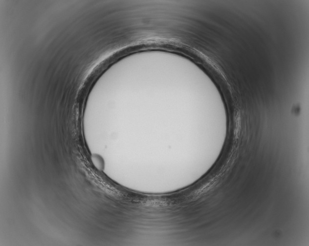 X0000115491021200912041011