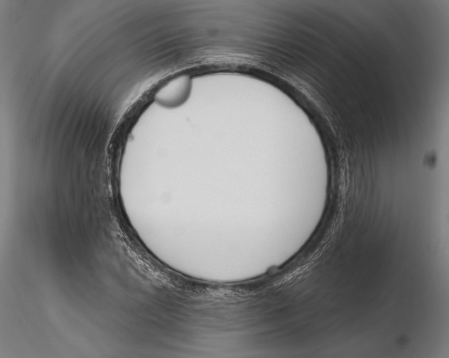 X0000115491022200912041011