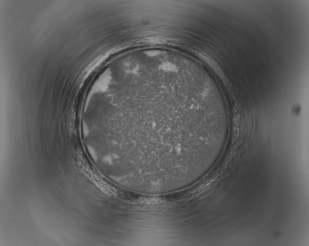 X0000115491023200912041011