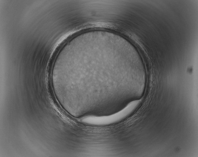 X0000115491024200912041011