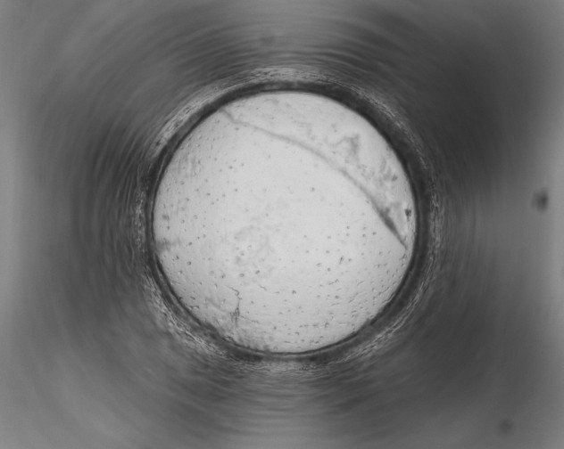 X0000115491025200912041011