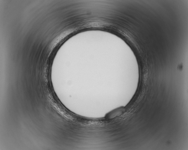 X0000115491026200912041011