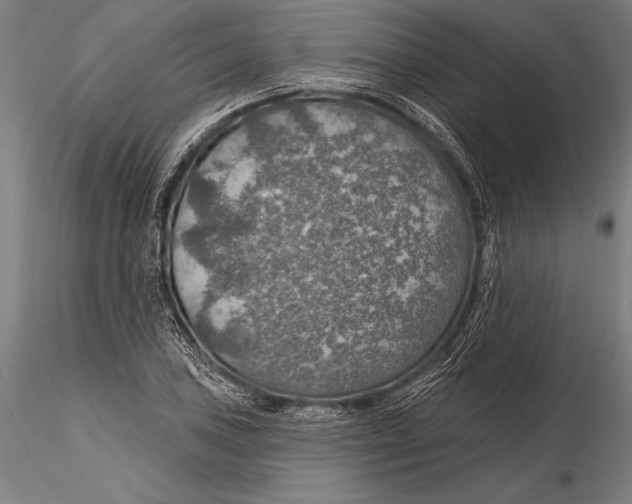 X0000115491027200912041011