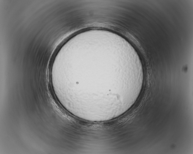 X0000115491028200912041011
