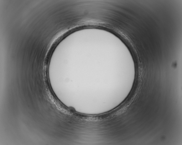 X0000115491029200912041011