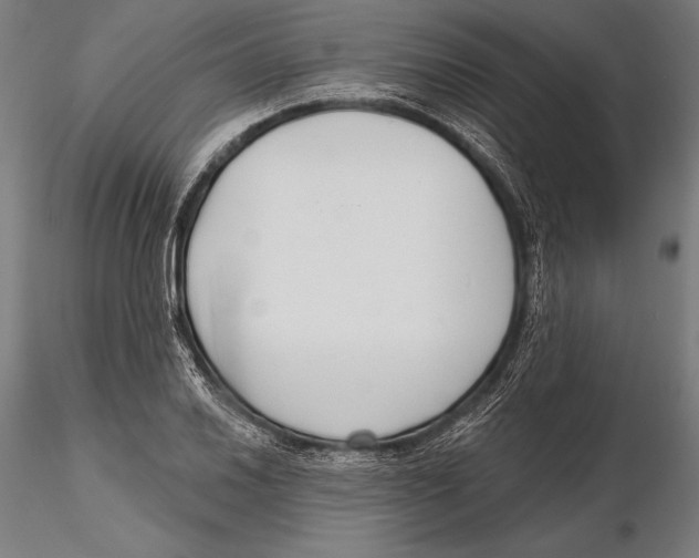 X0000115491030200912041011