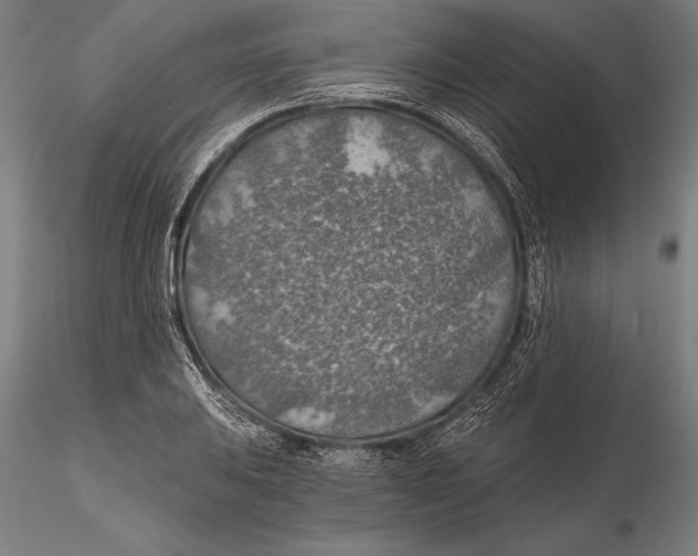 X0000115491031200912041011
