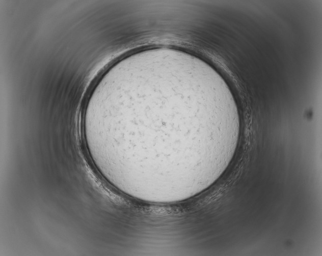 X0000115491032200912041011
