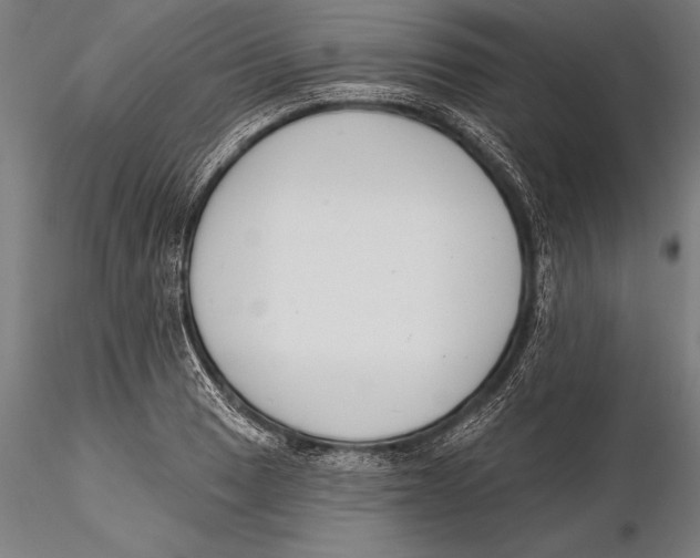 X0000115491033200912041011