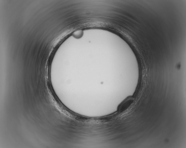 X0000115491034200912041011
