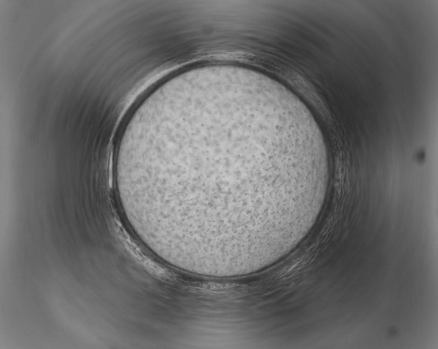 X0000115491036200912041011