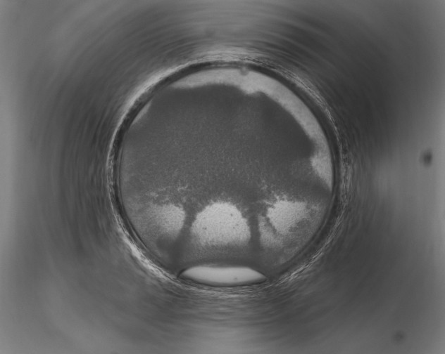 X0000115491037200912041011