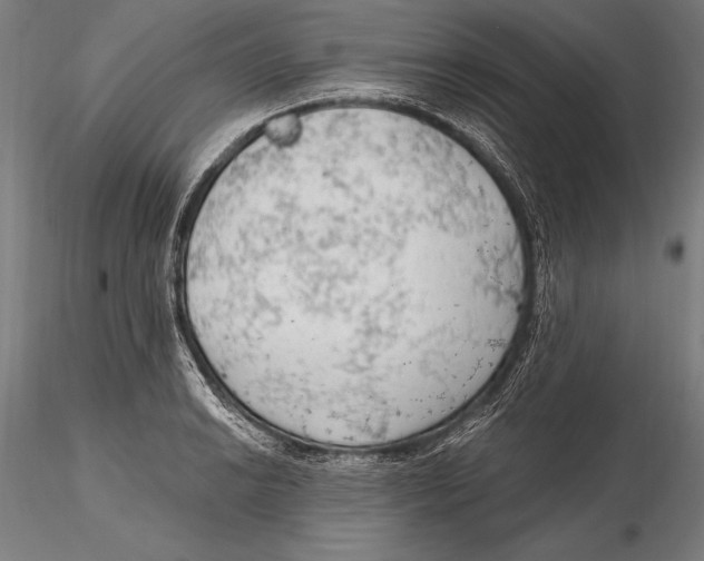 X0000115491038200912041011