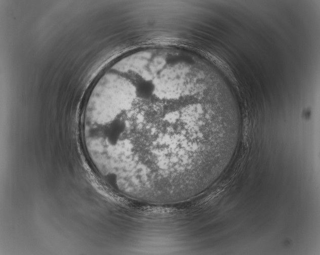 X0000115491039200912041011