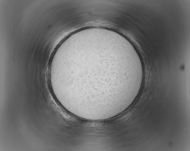 X0000115491040200912041011