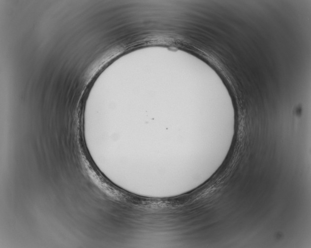X0000115491042200912041011