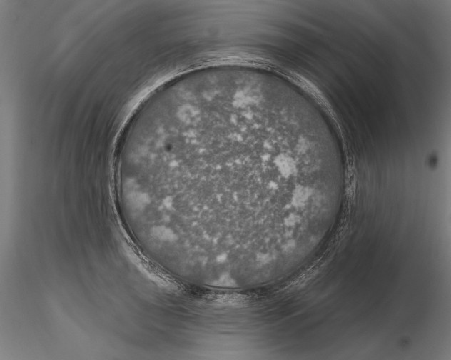X0000115491043200912041011