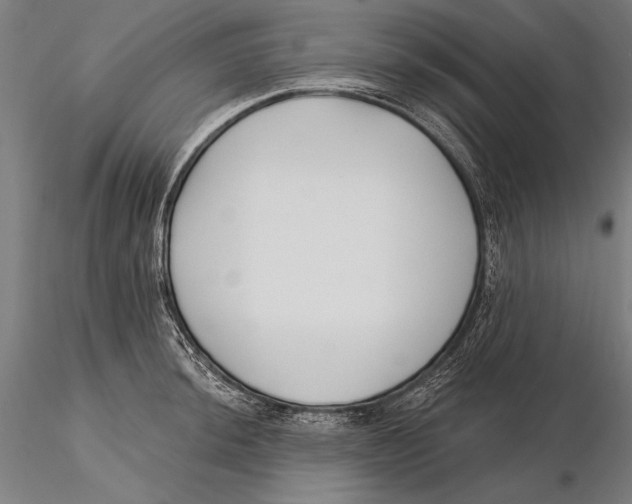 X0000115491044200912041011