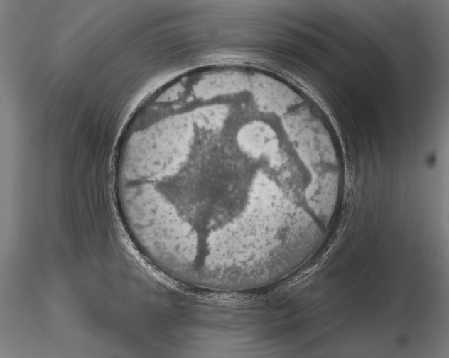 X0000115491045200912041011