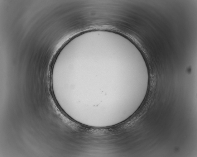 X0000115491046200912041011