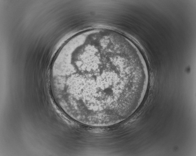 X0000115491048200912041011
