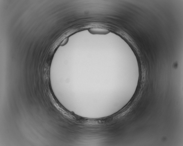X0000115491049200912041011