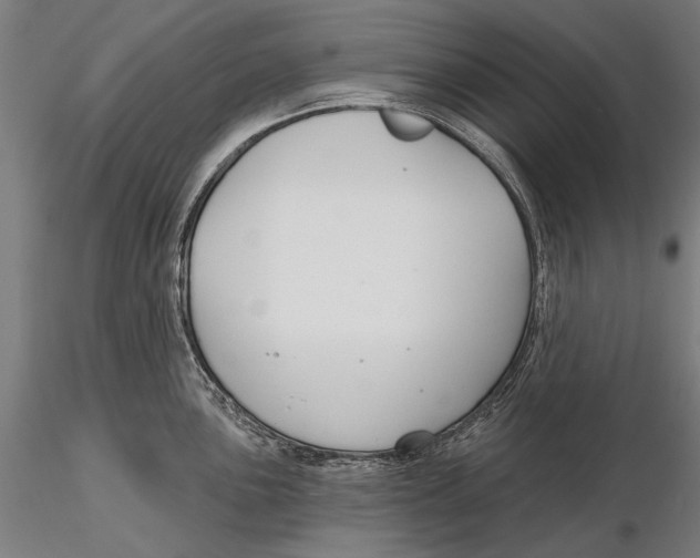 X0000115491051200912041011