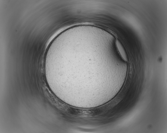 X0000115491052200912041011