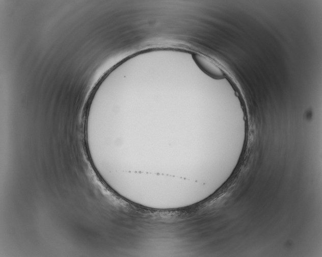 X0000115491053200912041011