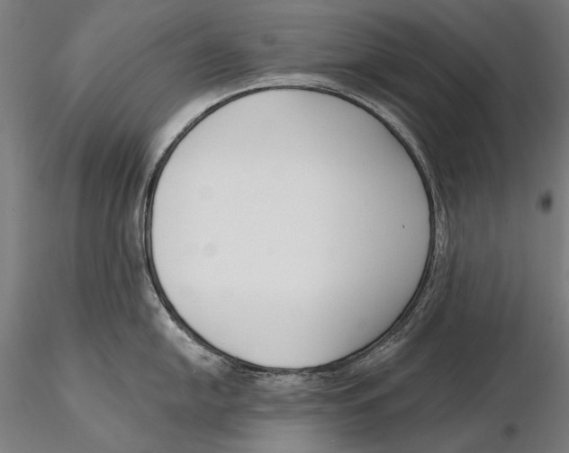 X0000115491054200912041011