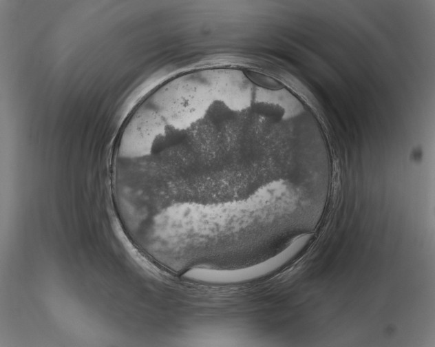 X0000115491055200912041011