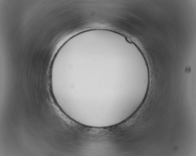 X0000115491056200912041011