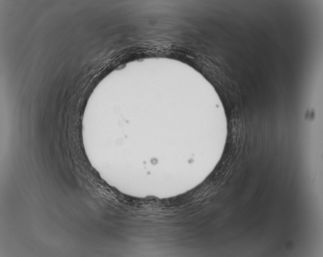 X0000115491057200912041010
