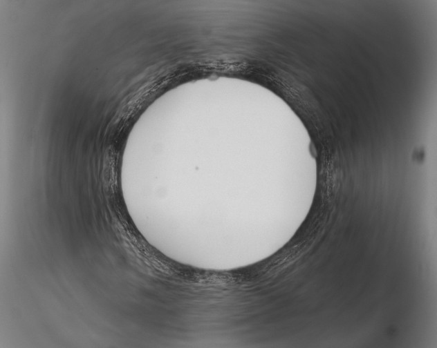 X0000115491058200912041010