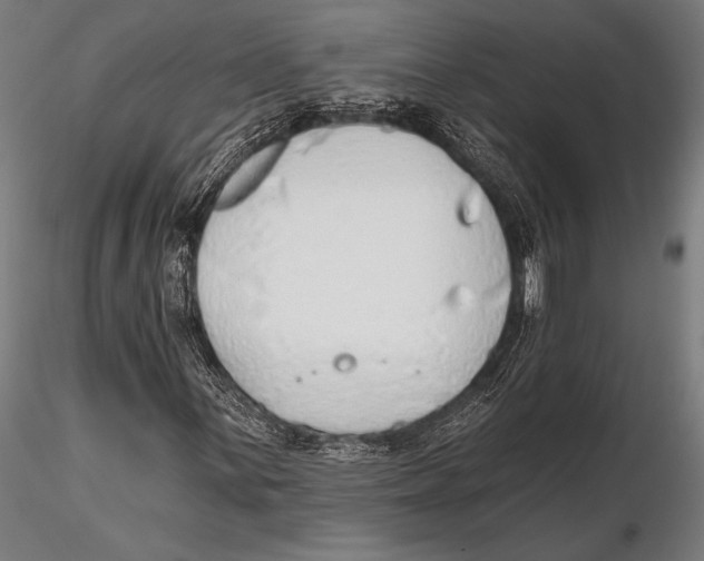 X0000115491059200912041010