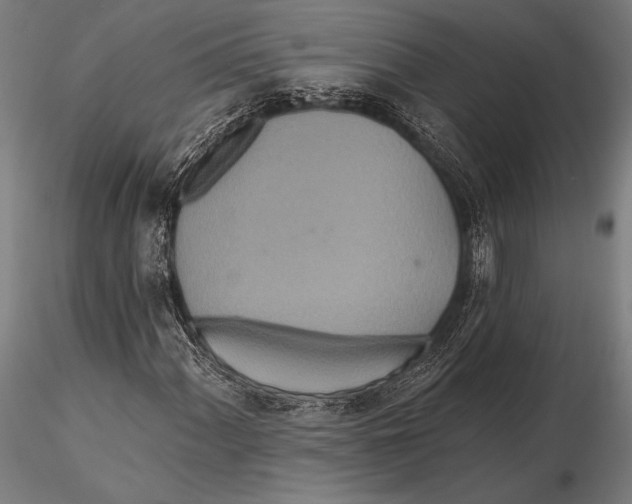X0000115491060200912041010