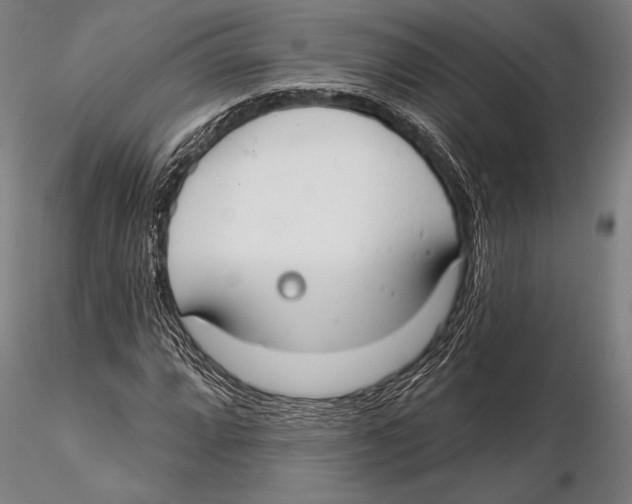 X0000115491064200912041010