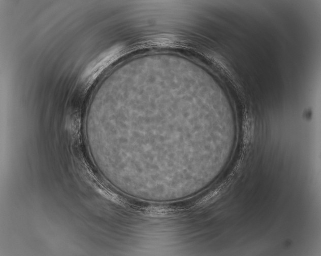 X0000115491065200912041010