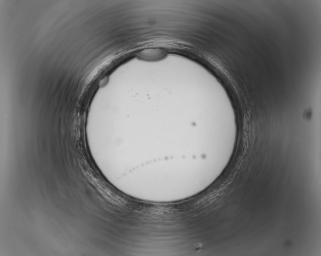 X0000115491067200912041010