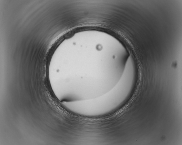 X0000115491069200912041010