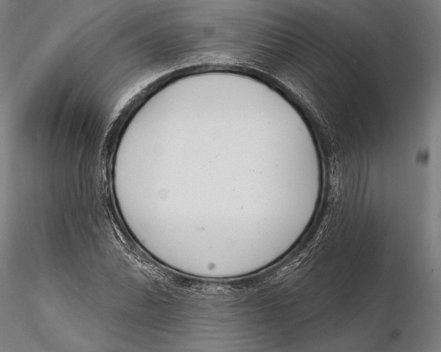 X0000115491070200912041010